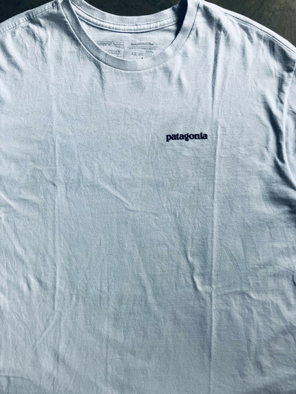 Patagonia light blue T-shirt