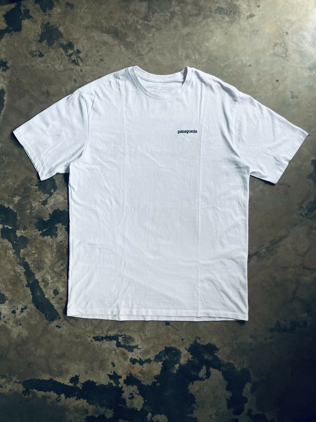 Patagonia light blue T-shirt