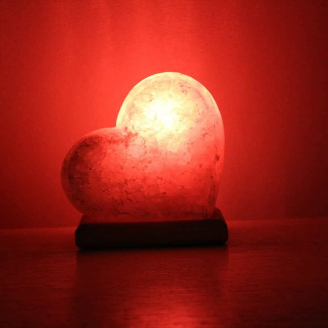 ONEarth  Heart Shape Himalayan Salt Lamp