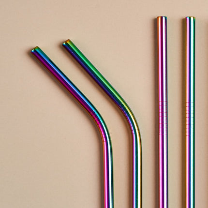 ONEarth Stainless Steel Straws With Cleaner - Rainbow (1 ST+1 Bend)