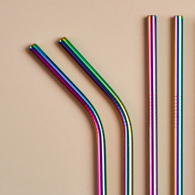ONEarth Stainless Steel Straws With Cleaner - Rainbow (1 ST+1 Bend)