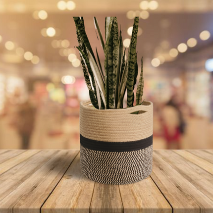 ONEarth Black Jute Rope Baskets / Planters