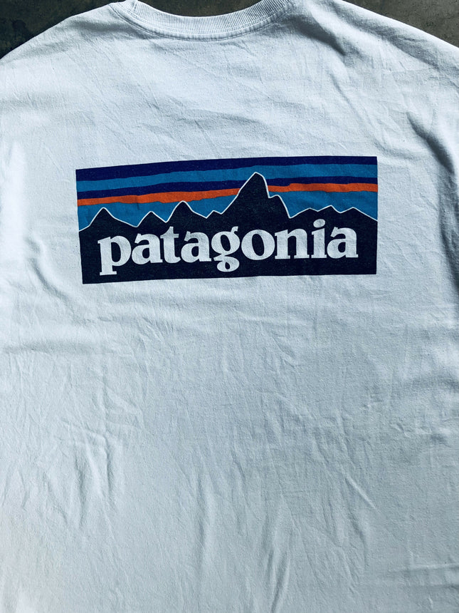 Patagonia light blue T-shirt