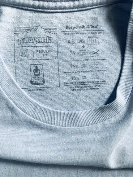 Patagonia light blue T-shirt