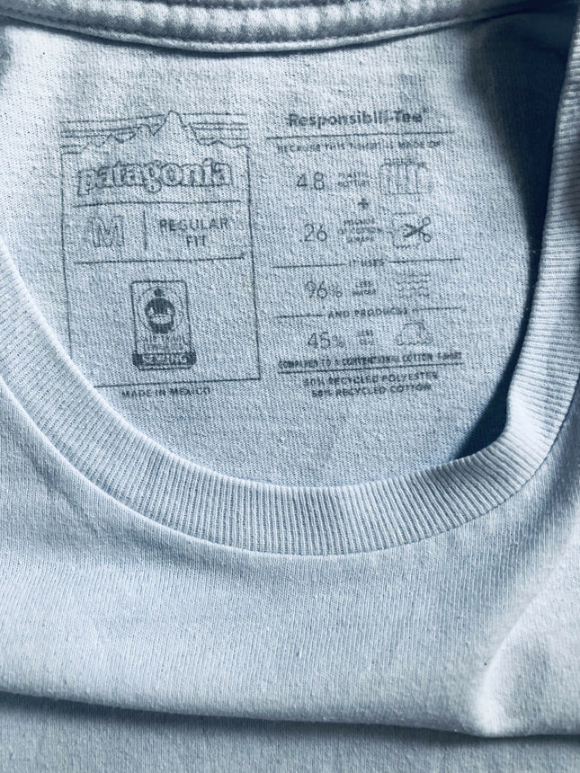 Patagonia light blue T-shirt