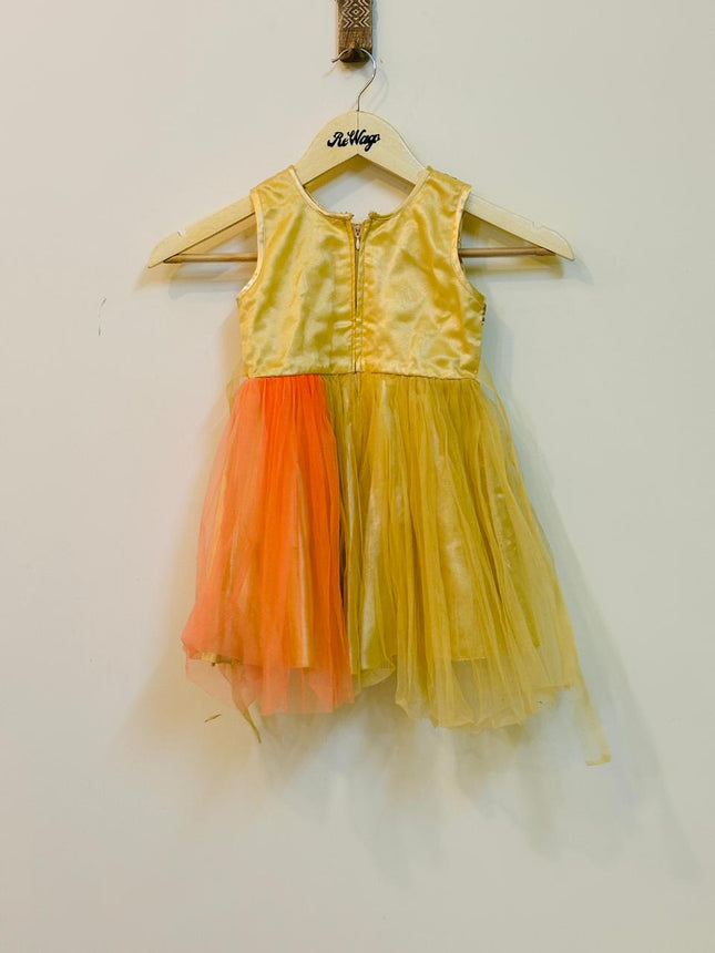 Multicolor Girl Kids Dress