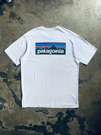 Patagonia light blue T-shirt
