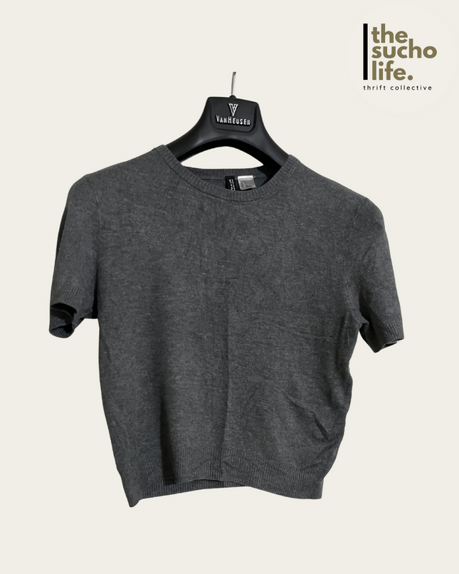 Small Gray Short Sleeve Crop Top